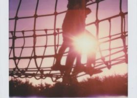 22 avril 2016 Poladarium 2016 - 22-04-2016 - image