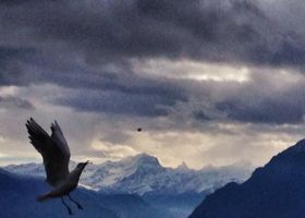 Haut vol (série Chambres)