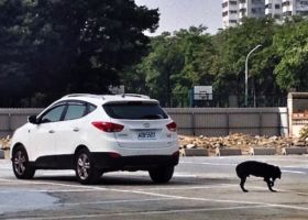 Parking (série Chambres)