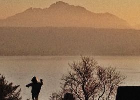 Gaillard (série In situ)