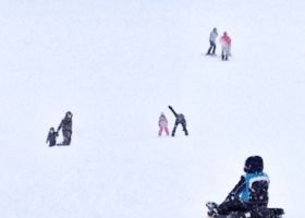 Particules (série In situ)