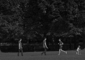 Le contre-courant