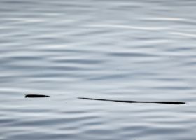 Solitude B3